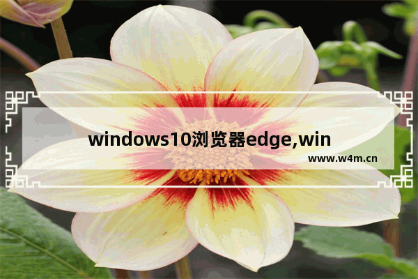 windows10浏览器edge,windows10自带的edge浏览器