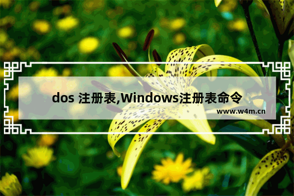 dos 注册表,Windows注册表命令