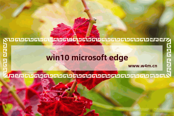 win10 microsoft edge无法打开,microsoft edge如何打开