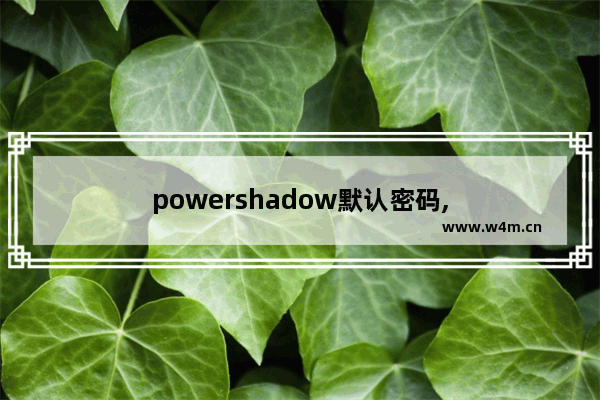 powershadow默认密码,