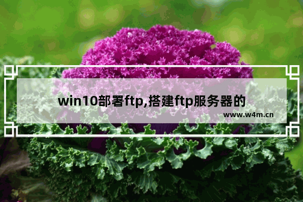 win10部署ftp,搭建ftp服务器的步骤win10