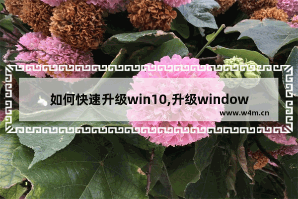 如何快速升级win10,升级windows10方法