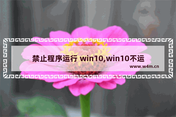 禁止程序运行 win10,win10不运行应用程序