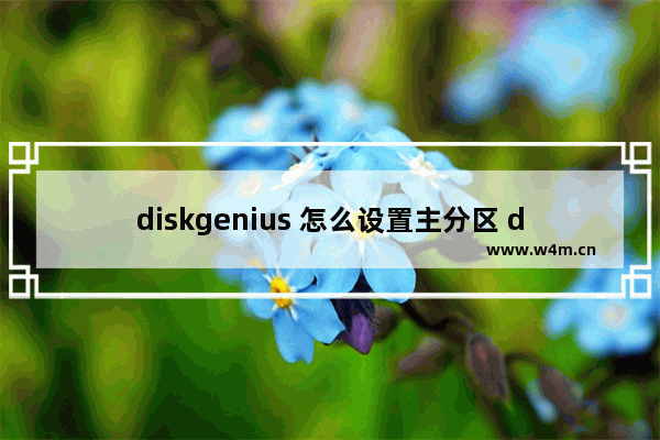 diskgenius 怎么设置主分区 diskgenius如何设主分区