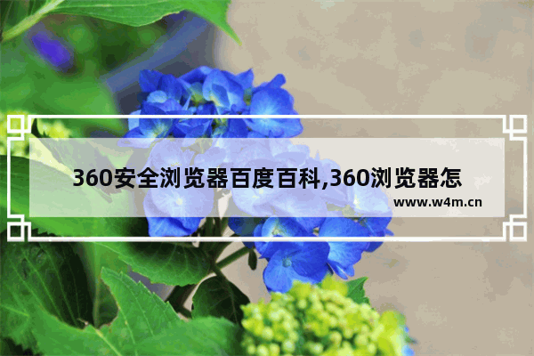 360安全浏览器百度百科,360浏览器怎么安全设置