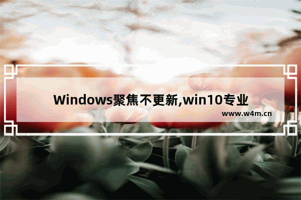 Windows聚焦不更新,win10专业版更新怎么关闭