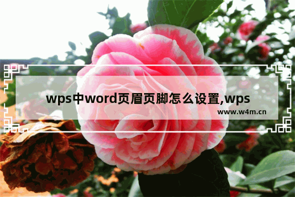 wps中word页眉页脚怎么设置,wps设置页眉和页脚的操作方法是什么