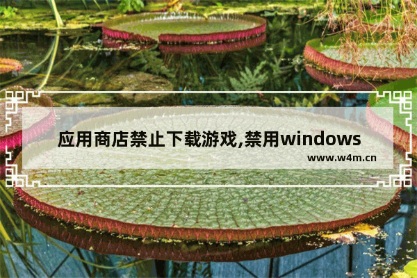 应用商店禁止下载游戏,禁用windows应用商店