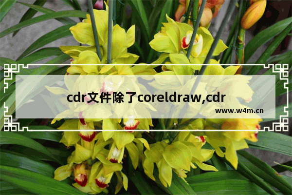 cdr文件除了coreldraw,cdr文件用啥打开