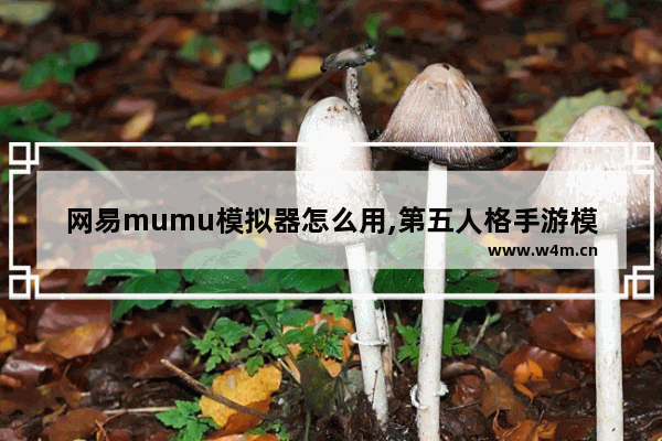 网易mumu模拟器怎么用,第五人格手游模拟器