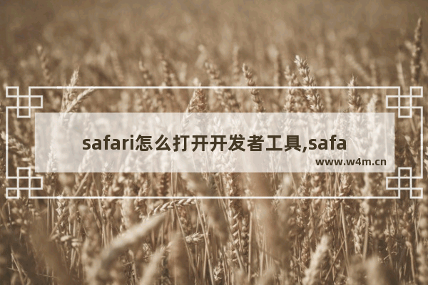 safari怎么打开开发者工具,safari怎么看开发者工具