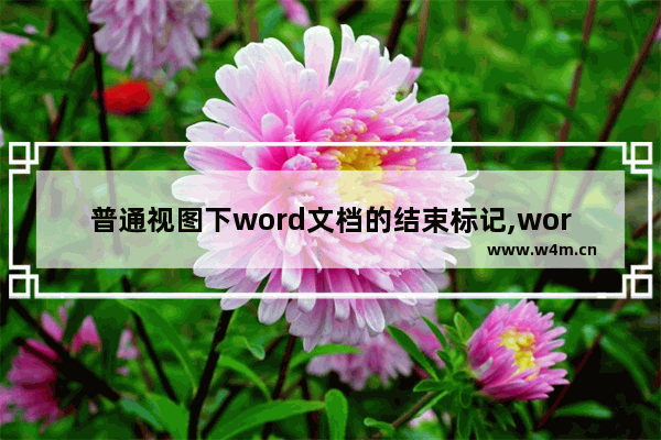 普通视图下word文档的结束标记,word文档作标记