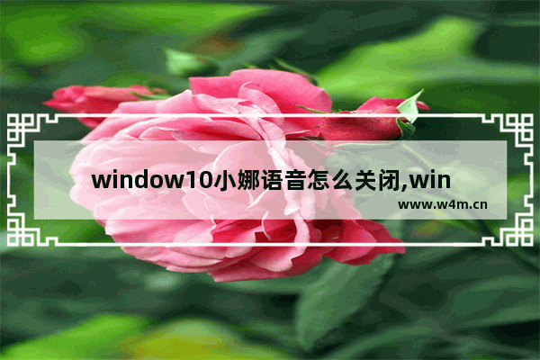 window10小娜语音怎么关闭,windows10小娜可以语音唤醒吗