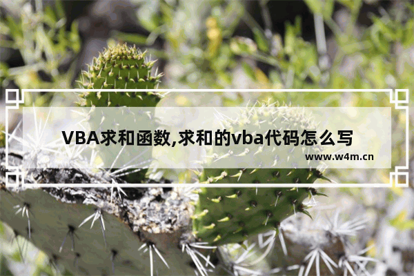 VBA求和函数,求和的vba代码怎么写