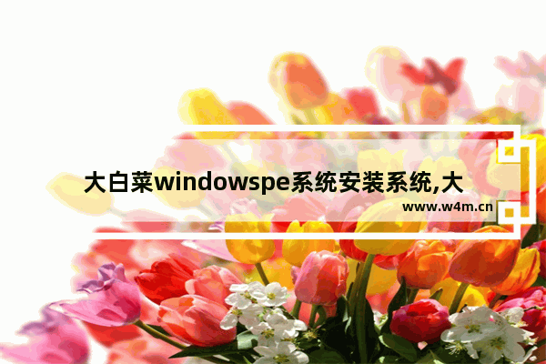 大白菜windowspe系统安装系统,大白菜winpe怎么装系统