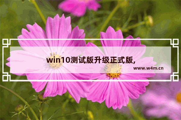 win10测试版升级正式版,