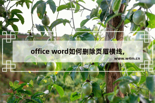 office word如何删除页眉横线,office2010如何删除页眉横线