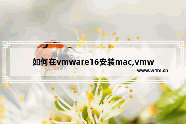 如何在vmware16安装mac,vmware怎么安装macos