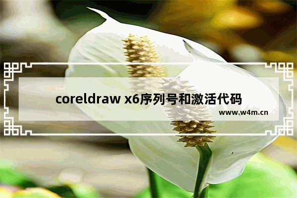 coreldraw x6序列号和激活代码,coreldraw x6安装代码