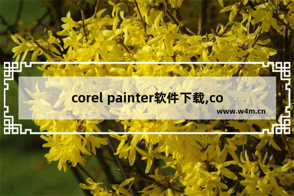 corel painter软件下载,corelpainter软件教程