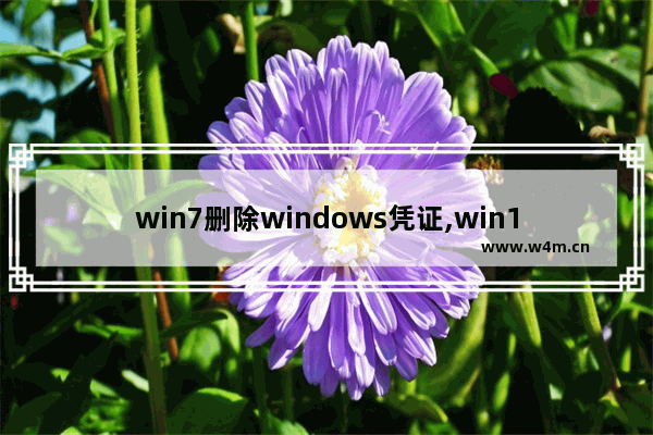 win7删除windows凭证,win10专业版凭证管理器在哪里_1