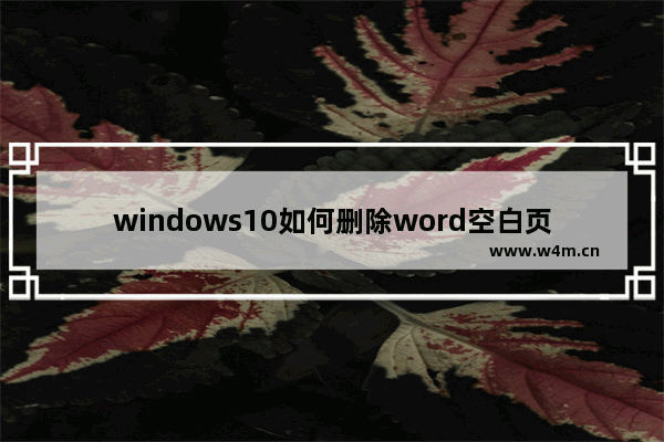 windows10如何删除word空白页,win10word文档怎么删除空白页