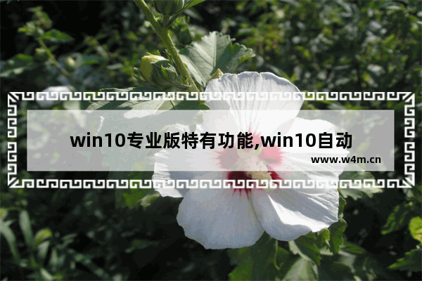 win10专业版特有功能,win10自动操作软件