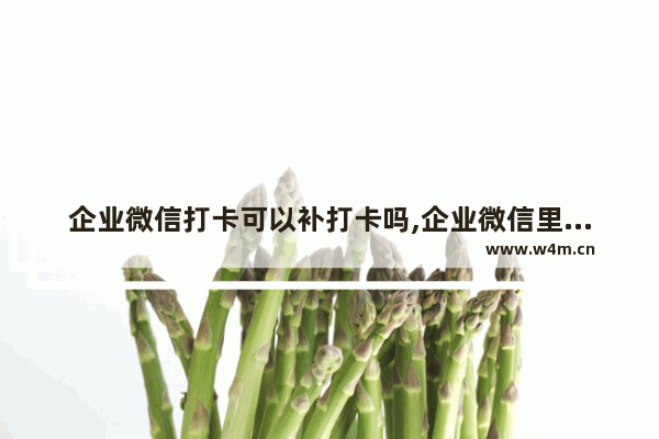 企业微信打卡可以补打卡吗,企业微信里忘记打卡,怎么申请补打