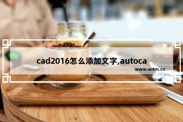 cad2016怎么添加文字,autocad2014添加文字