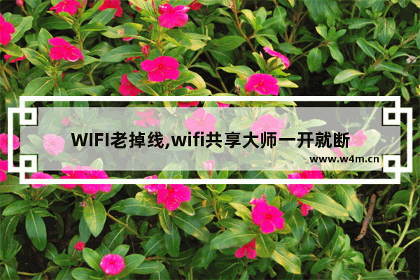 WIFI老掉线,wifi共享大师一开就断网