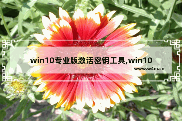 win10专业版激活密钥工具,win10激活密钥大全