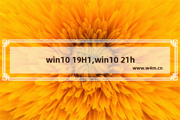 win10 19H1,win10 21h1正式版更新内容