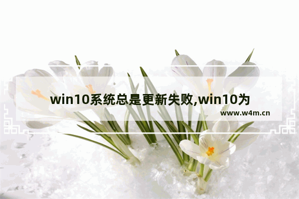 win10系统总是更新失败,win10为什么一直更新失败