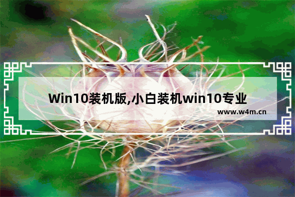 Win10装机版,小白装机win10专业版