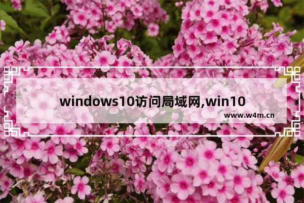 windows10访问局域网,win10访问不了局域网其他电脑