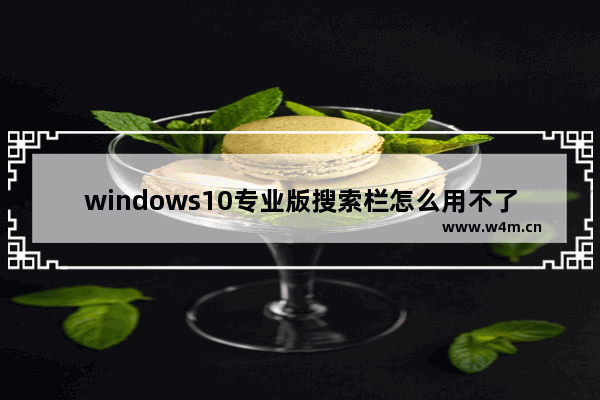 windows10专业版搜索栏怎么用不了,windows10搜索用不了