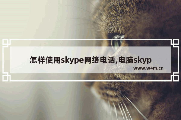 怎样使用skype网络电话,电脑skype怎么用