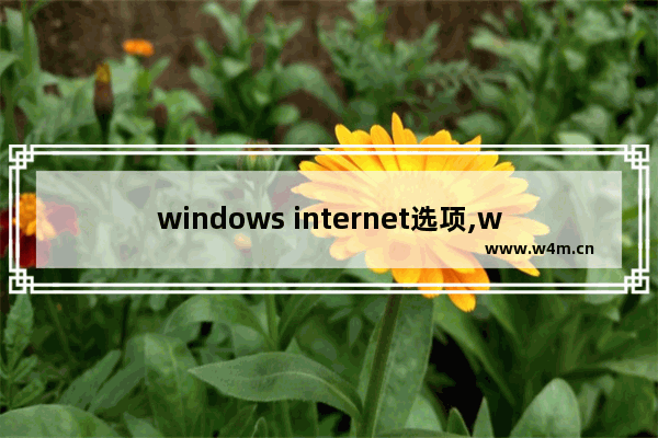 windows internet选项,win10怎么internet选项