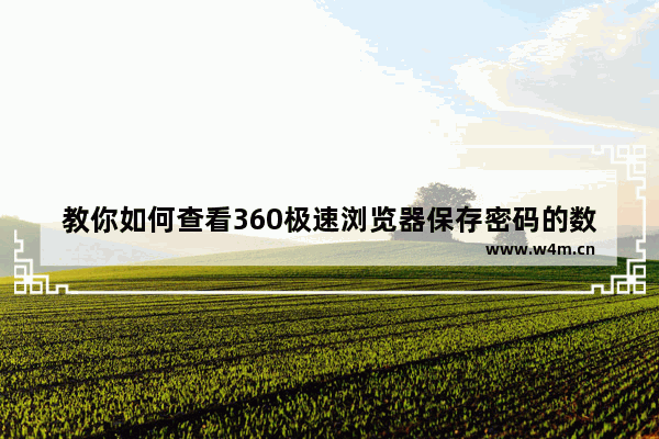 教你如何查看360极速浏览器保存密码的数据,如何查看360极速浏览器保存的密码