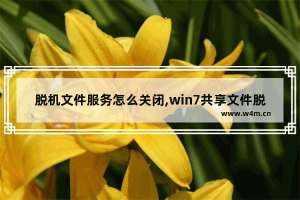 脱机文件服务怎么关闭,win7共享文件脱机状态怎么解除