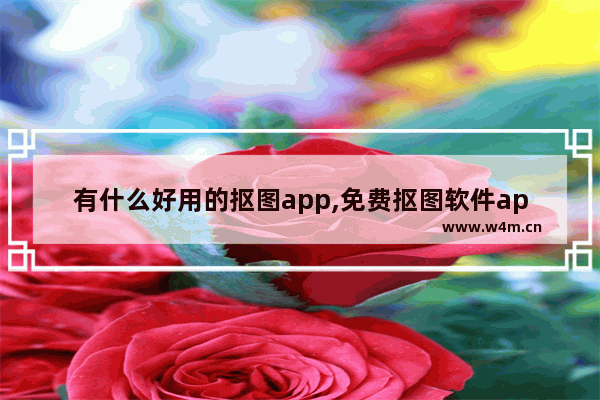 有什么好用的抠图app,免费抠图软件app哪个好