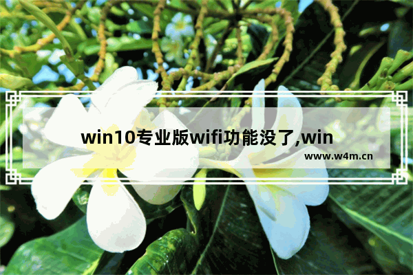 win10专业版wifi功能没了,win10 wifi受限是怎么回事儿