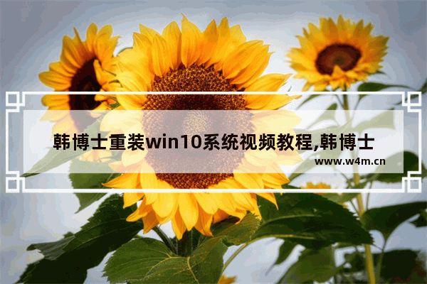 韩博士重装win10系统视频教程,韩博士装机大师教程win10