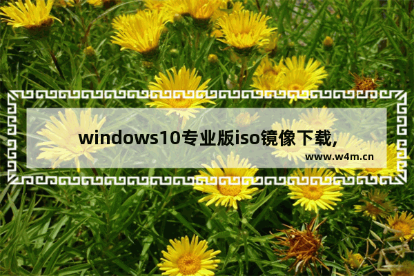 windows10专业版iso镜像下载,win10企业版官方iso镜像下载