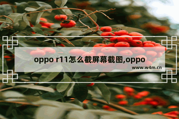 oppo r11怎么截屏幕截图,oppo r11手机截图怎么截