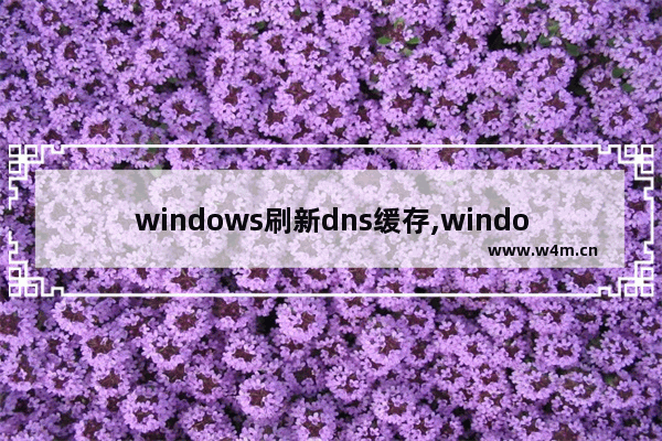 windows刷新dns缓存,windows10刷新dns