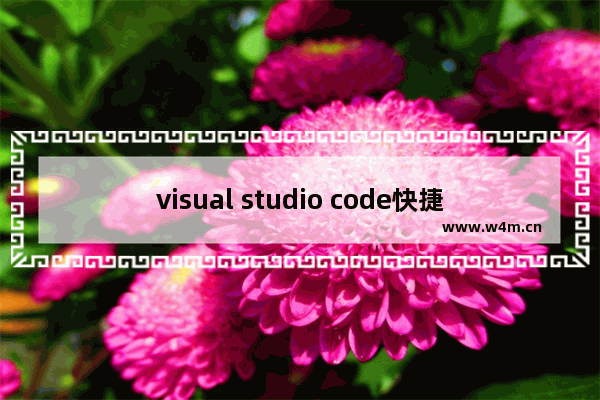 visual studio code快捷方式,visual studio code格式化代码快捷键