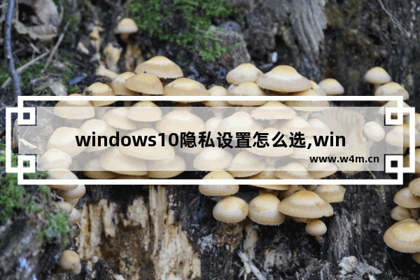 windows10隐私设置怎么选,win10为你的设备选择隐私设置怎么设置好-