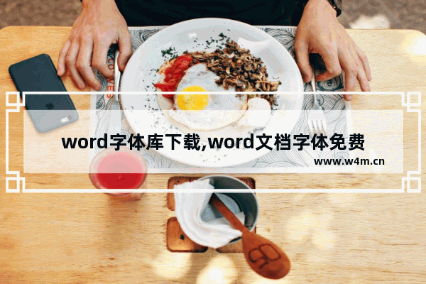 word字体库下载,word文档字体免费下载