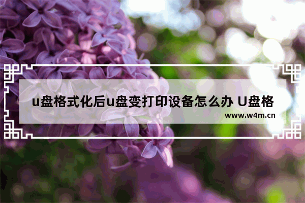 u盘格式化后u盘变打印设备怎么办 U盘格式化后变成打印设备怎么办